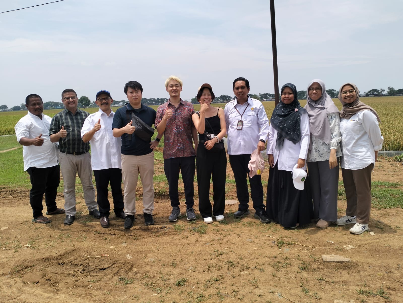 Proyek Percontohan AWD untuk Pertanian Padi yang Lebih Efisien dan Ramah Lingkungan