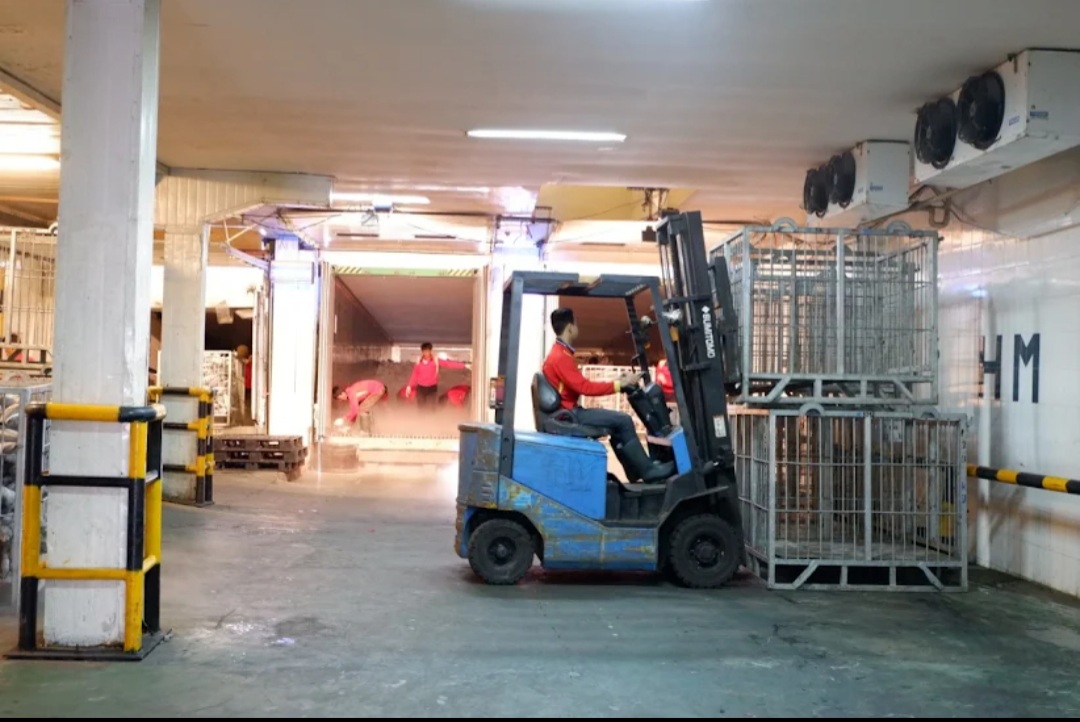 Sosok Pemimpin  Sederhana dan Bijaksana